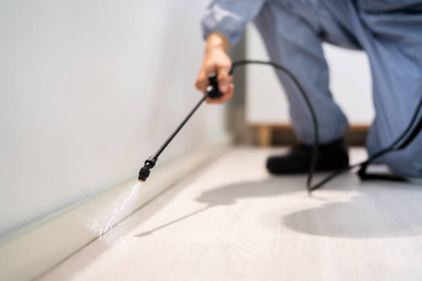 Licensed Pest Control service in Crewe, VA - Show Me Pest Control