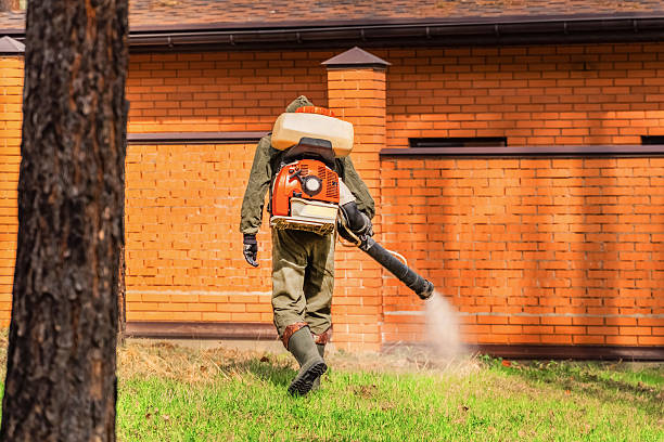 Bed Bug Clearance Verification and Documentation in Crewe